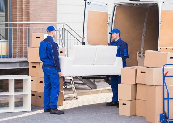 Доставка в подарок!